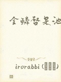 金鳞启是池中物封面