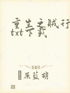 重生之贼行天下txt下载