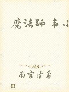 魔法师 韦小宝封面