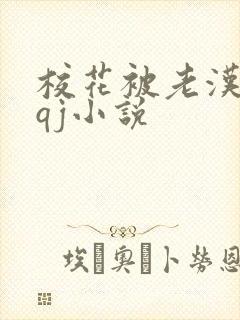 校花被老汉狂肉qj小说封面