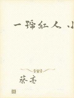 一号红人 小说封面