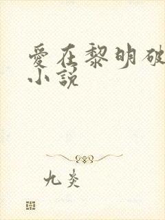 爱在黎明破晓前小说