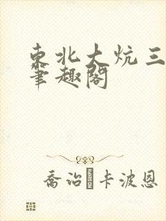 东北大炕三部曲笔趣阁封面