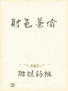 财色兼偷封面