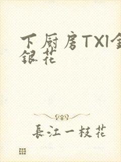 下厨房TXl金银花