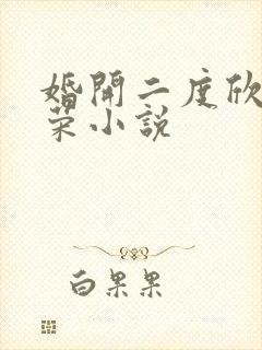 婚开二度欣欣向荣小说