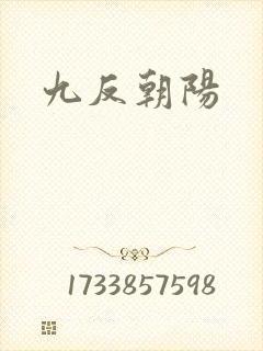 九反朝阳