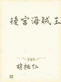 后宫海贼王