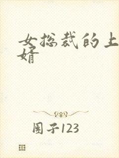 女总裁的上门女婿