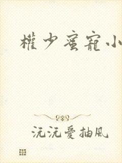 权少蜜宠小娇妻