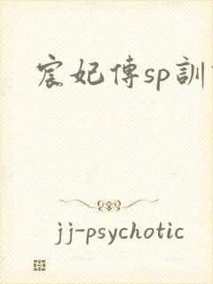 宸妃传sp训诫封面