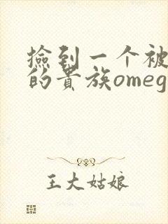 捡到一个被抹布的贵族omega