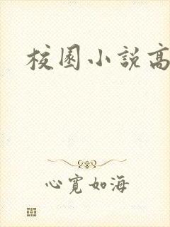 校园小说高h封面