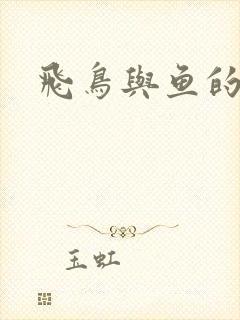 飞鸟与鱼的故事封面