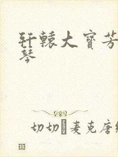 轩辕大宝芳菲雅琴