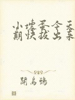 小坏蛋今天危险期快拔出来