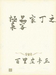 极品家丁之远方来客