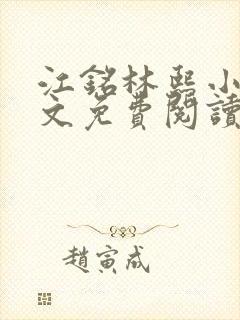 江铭林熙小说全文免费阅读封面