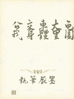 公交车大龟廷进我身体里图封面