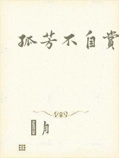 孤芳不自赏小说