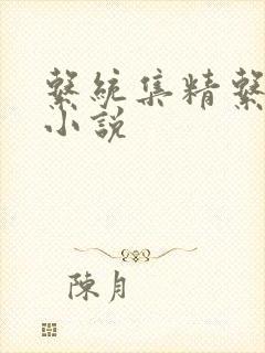 系统集精系统 小说