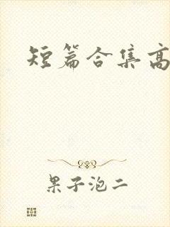 短篇合集高h封面