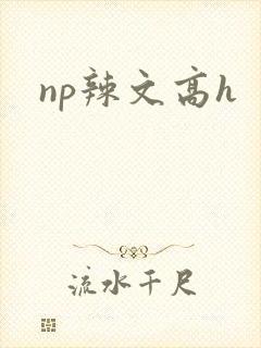 np辣文高h