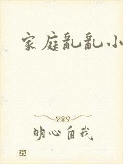 家庭乱乱小说封面
