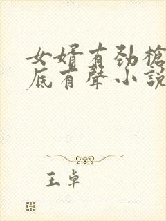 女婿有劲枪枪到底有声小说