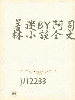 着迷BY阿司匹林小说全文免费阅读