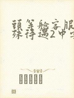 头等舱客服的特殊待遇2中字封面