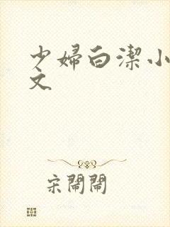 少妇白洁小说全文