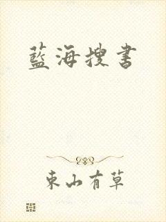 蓝海搜书