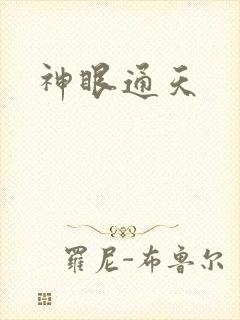神眼通天