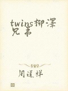 twins柳泽兄弟