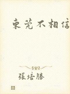 东莞不相信眼泪