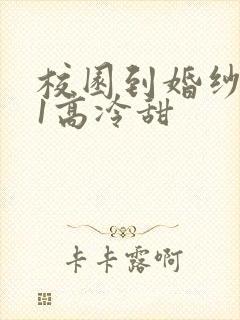 校园到婚纱1V1高冷甜