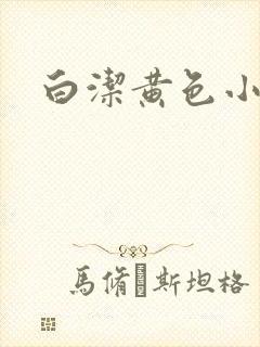 白洁黄色小说