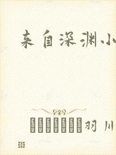 来自深渊小说