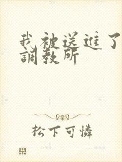 我被送进了私奴调教所