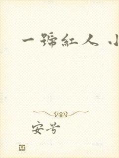 一号红人 小说封面