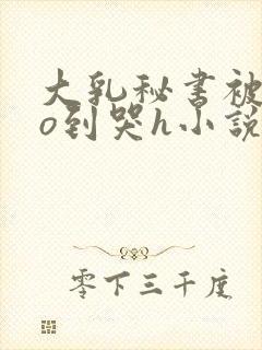 大乳秘书被cao到哭h小说封面