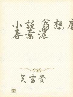 小说 翁想房中春意浓