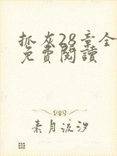 抓灰28章全部免费阅读