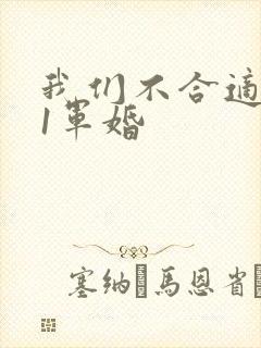 我们不合适1v1军婚