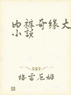 内裤奇缘大团结小说