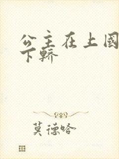 公主在上国师请下轿封面