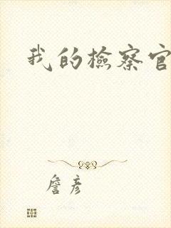 我的检察官先生封面