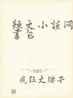 辣文小说网第二书包