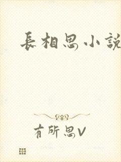 长相思小说原著